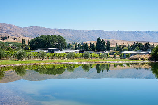 Wanaka Wine Tours Private vineyard wine tasting tour Central Otago New Zealand