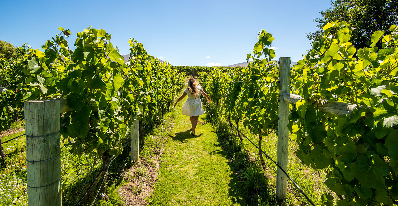 Wanaka wine tours